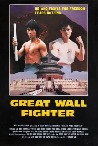 Movie poster for Fire on the Great Wall