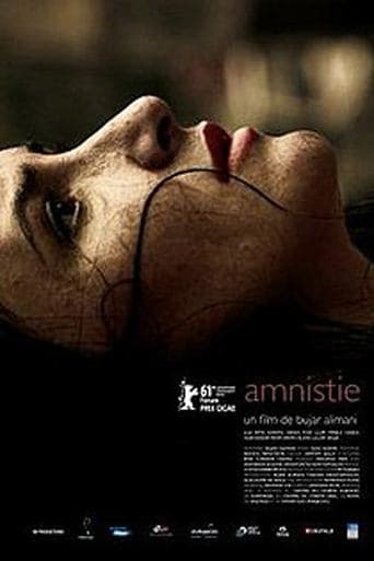 Movie poster for Amnesty