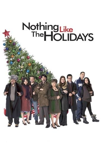 Movie poster for Nothing Like the Holidays