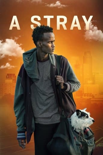 Movie poster for A Stray