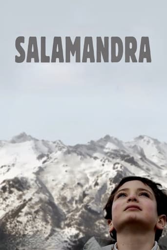 Movie poster for Salamander