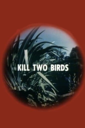 Movie poster for Kill Two Birds