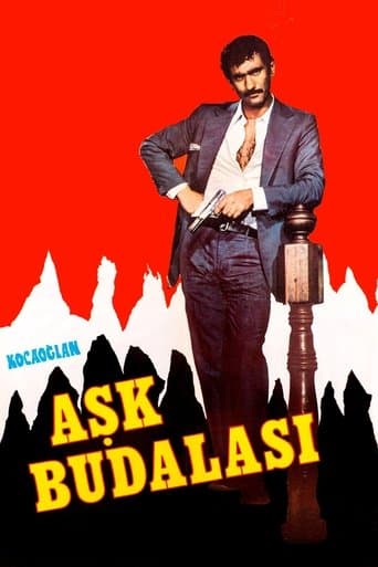 Movie poster for Kocaoğlan: Aşk Budalası