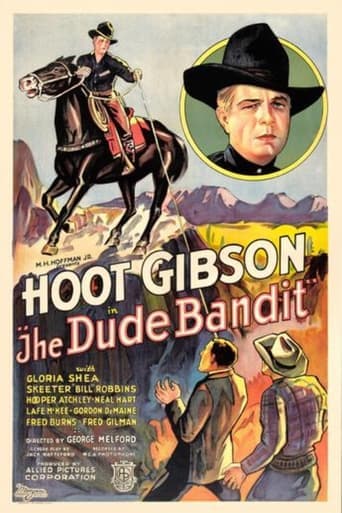 Movie poster for The Dude Bandit