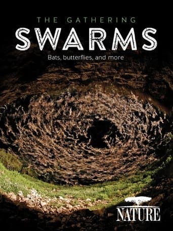 Movie poster for The Gathering Swarms