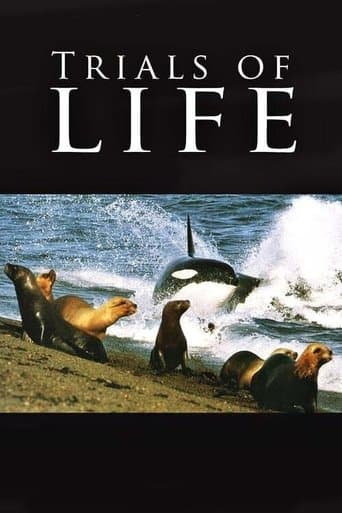 Movie poster for The Trials of Life