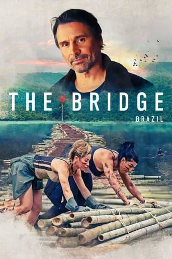 Movie poster for The Bridge Brazil
