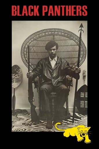 Movie poster for Black Panthers