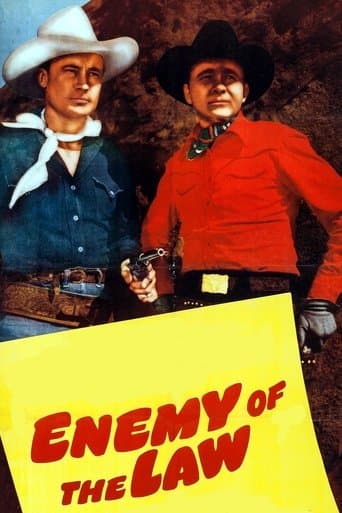 Movie poster for Enemy of the Law