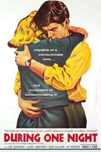 Movie poster for During One Night