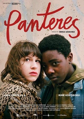 Movie poster for Panthers