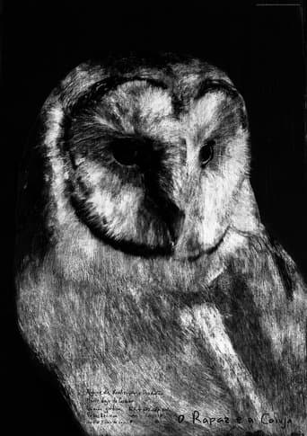 Movie poster for The Boy and the Owl