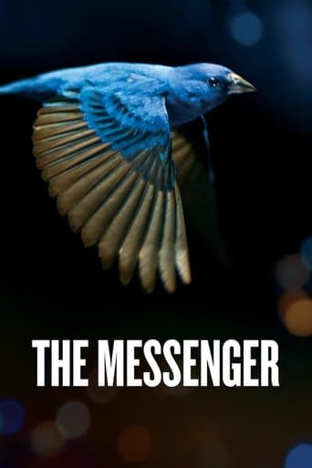 Movie poster for The Messenger