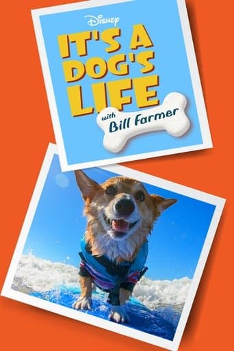 Movie poster for It's a Dog's Life with Bill Farmer