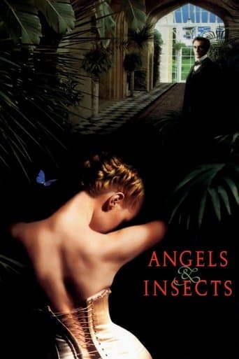 Movie poster for Angels and Insects