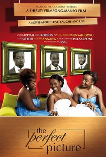 Movie poster for The Perfect Picture