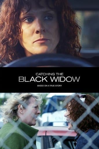 Movie poster for Catching the Black Widow