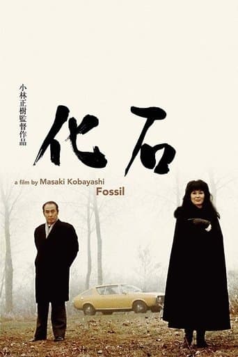 Movie poster for The Fossil