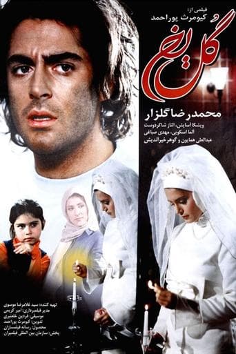 Movie poster for Ice Flower
