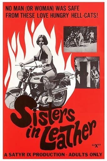 Movie poster for Sisters in Leather