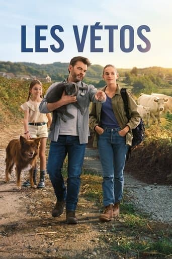 Movie poster for The Vets