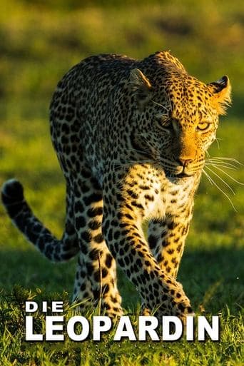Movie poster for The Leopardess