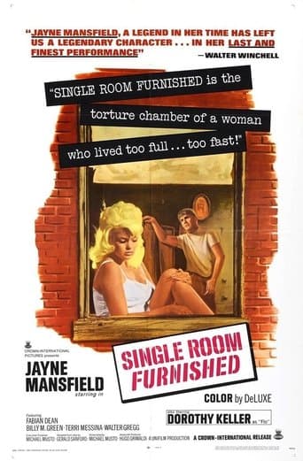 Movie poster for Single Room Furnished