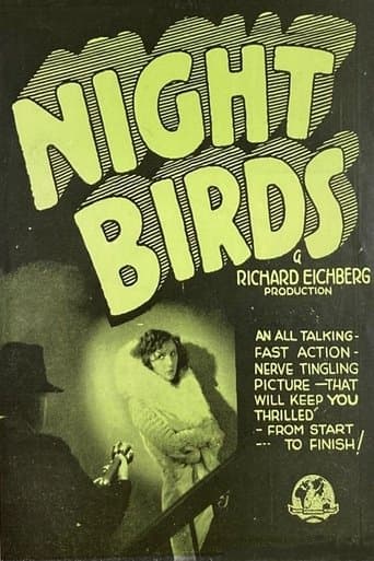 Movie poster for Night Birds