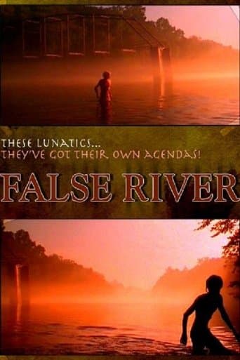 Movie poster for False River