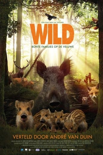 Movie poster for Wild