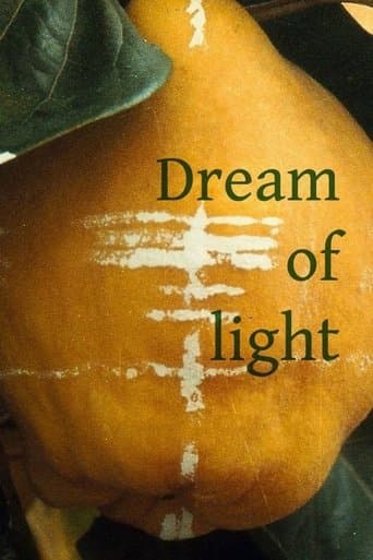 Movie poster for Dream of Light