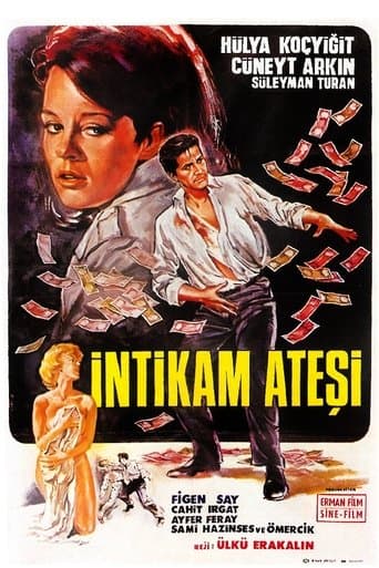 Movie poster for İntikam Ateşi