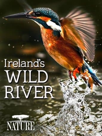 Movie poster for Ireland's Wild River