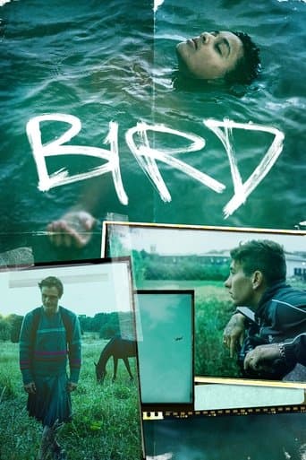 Movie poster for Bird
