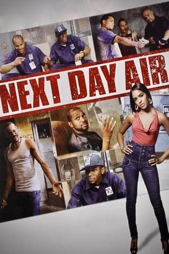 Movie poster for Next Day Air