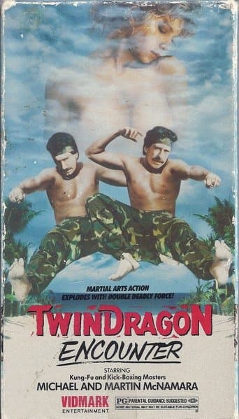 Movie poster for Twin Dragon Encounter