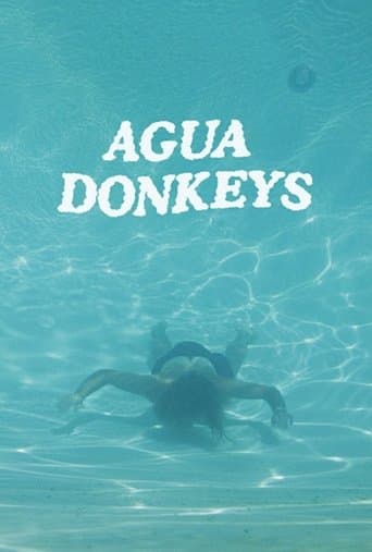 Movie poster for Agua Donkeys