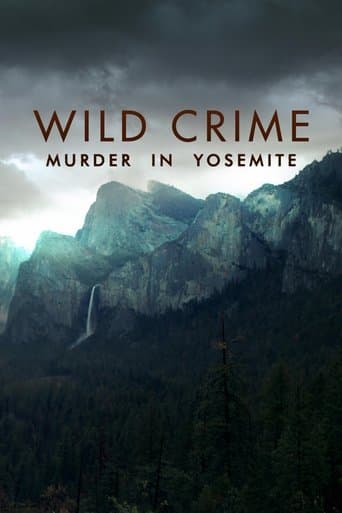 Movie poster for Wild Crime