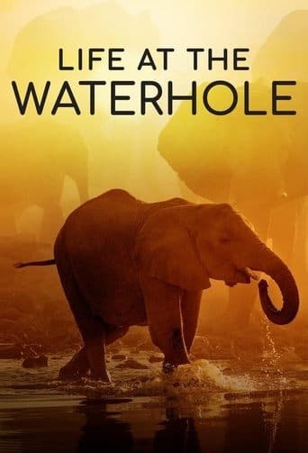 Movie poster for Life at the Waterhole