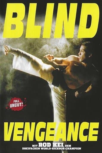 Movie poster for Blind Vengeance