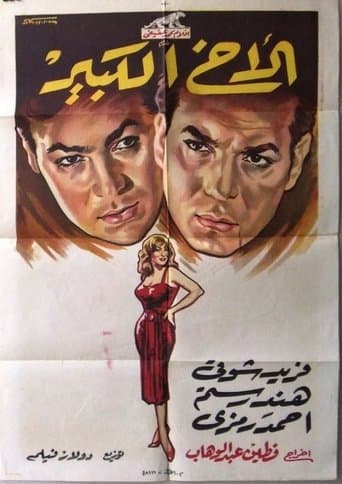 Movie poster for The Big Brother