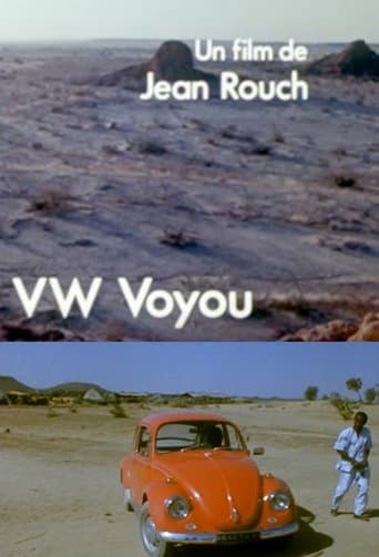 Movie poster for VW-Voyou