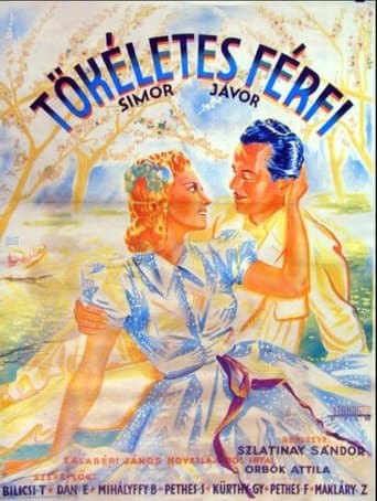 Movie poster for Tökéletes férfi