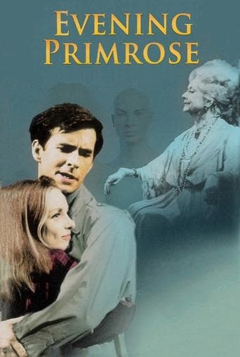 Movie poster for Evening Primrose