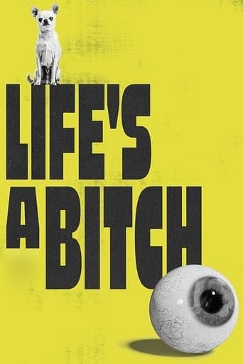 Movie poster for Life's a Bitch