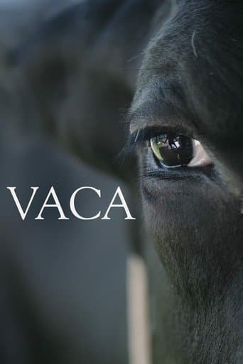 Movie poster for Vaca