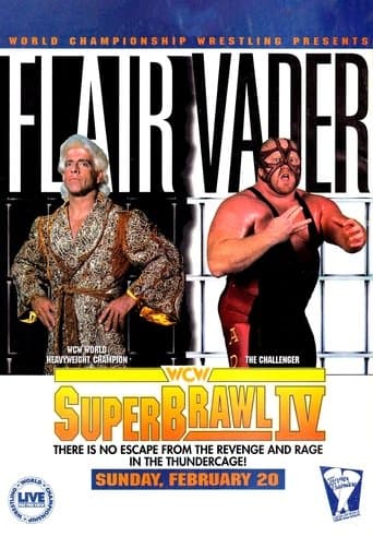 Movie poster for WCW SuperBrawl IV