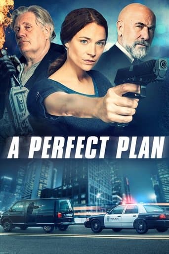 Movie poster for A Perfect Plan