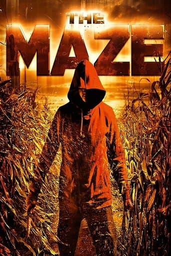 Movie poster for The Maze