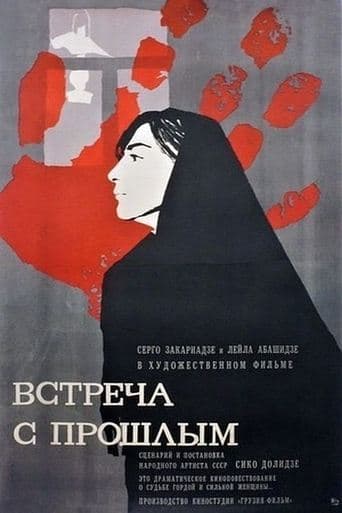 Movie poster for Meeting With The Past